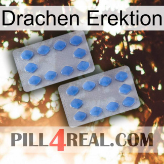 Dragon Erection 20